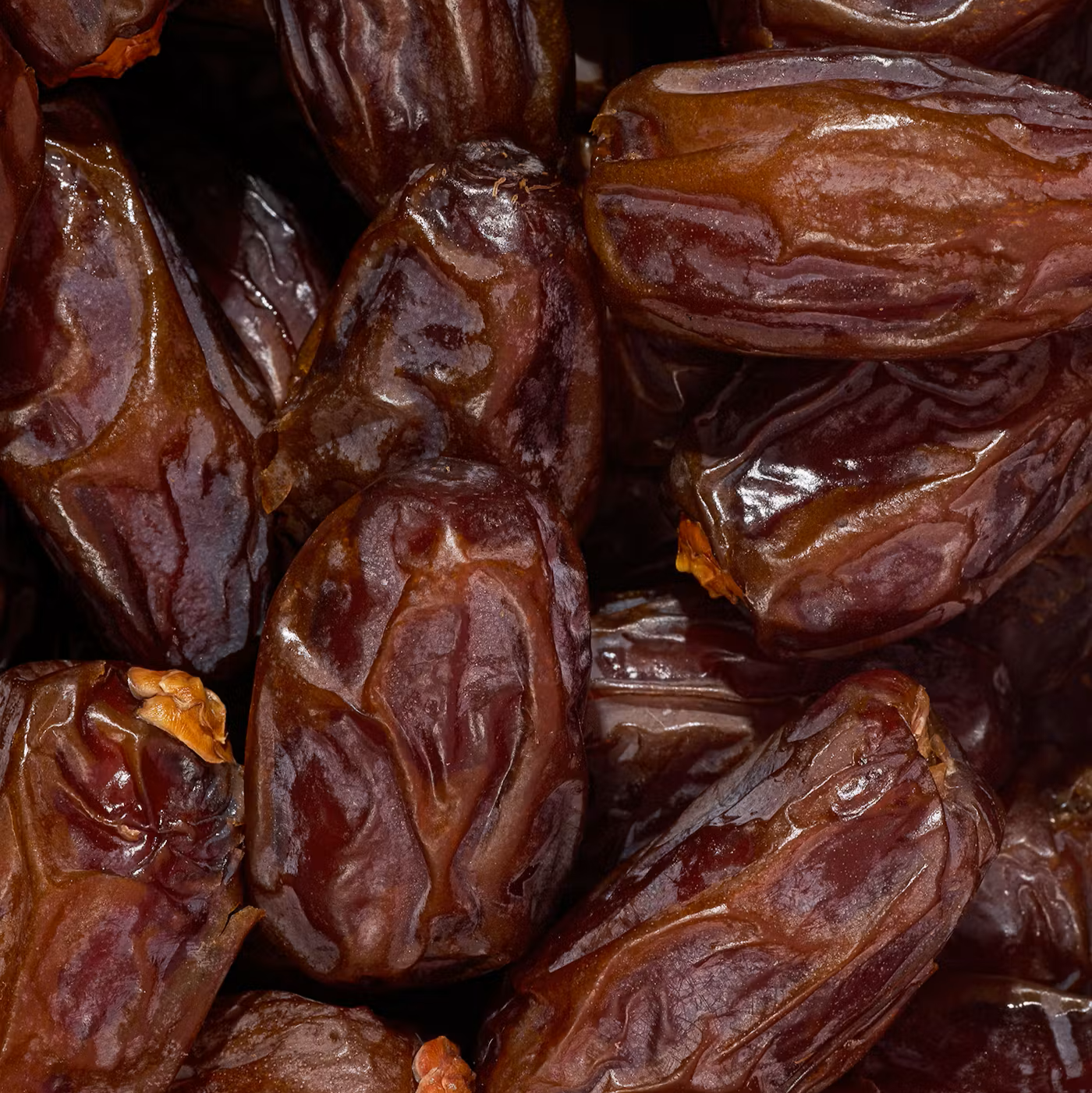 Tâmaras Medjool Bio